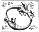 Uroboro Drago.gif (35532 byte)